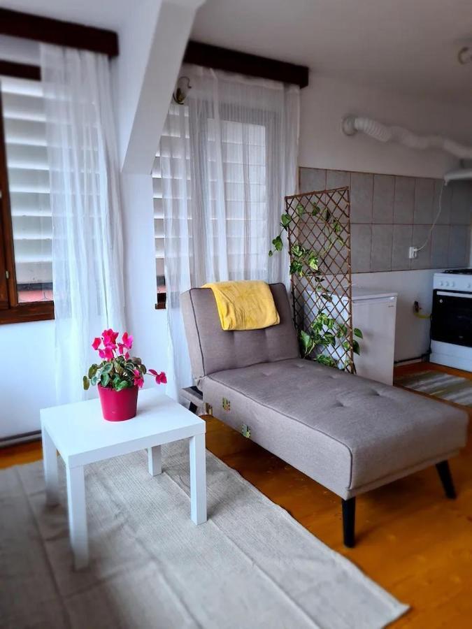 Casa Bonita Saliste Hotel Eksteriør billede